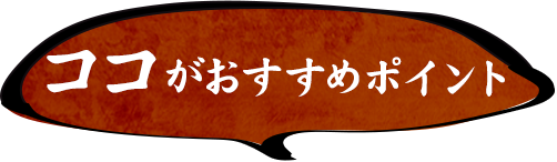 ココがおすすめポイント